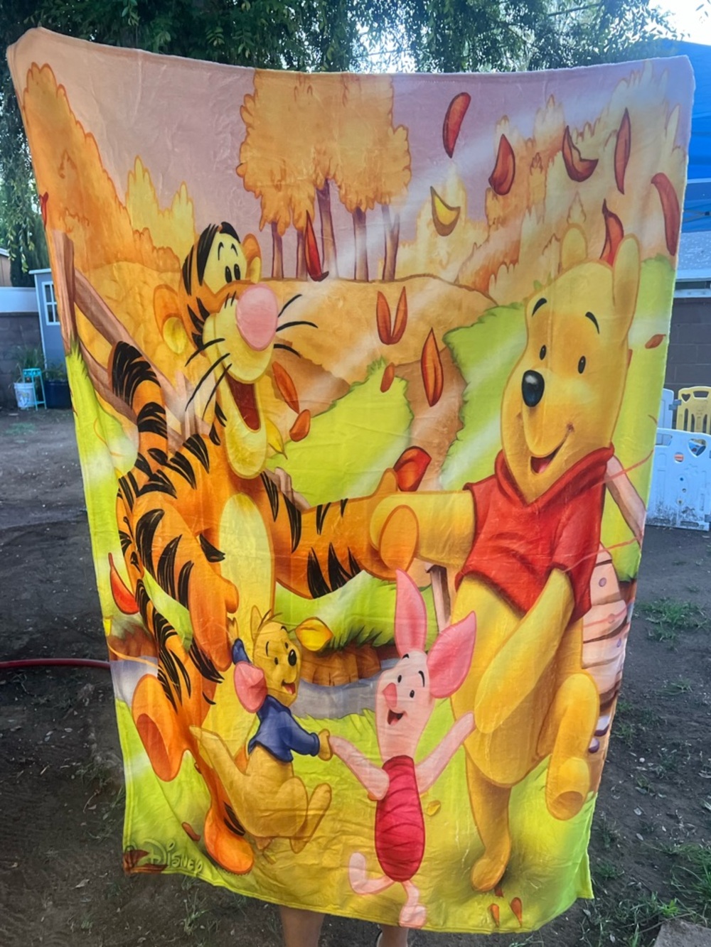 NIP Winnie the Pooh Blanket Soft